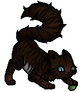 Hawkfrost.Clankit.byCurly.png (27 KB) Junges