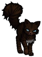 Hawkfrost.Rogue.byCurly.png (28 KB) Streuner