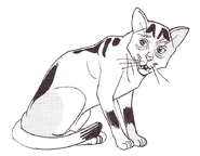 Triefnase.Manga.TuS.png (278 KB) Triefnase in Tigerstern und Sasha