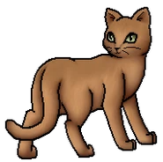 Nettlesplash.Lo.byMohn.png (24 KB) Einzelläufer