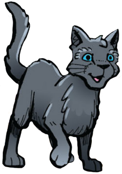 Warrior Cats - Der Dieb des DonnerClans