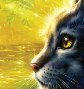 Graustreif auf dem Reprint-Cover von Forest of Secrets[94]