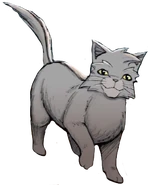 Graustreif.Cover.GuM.2.png (91 KB) Graustreif auf dem Cover von Die Rückkehr des Kriegers