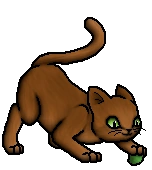 Beechkit.K.byMohn.png (24 KB) Junges