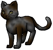 Hawkheart.w.bySheyffer.png (17 KB) Krieger