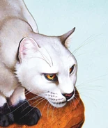 CCBlackstar.jpg (301 KB) Schwarzstern in Von Helden und Verrätern und The Ultimate Guide (2013)