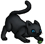 Rainkit.byTopas.png (14 KB) Junges