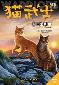 Chinesisches Cover (Reprint)