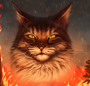 Tigerkralle auf dem polnischen Cover von Vor dem Sturm[91]
