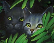 CCGrayMillie.jpg (217 KB) Graustreif und Millie in Von Helden und Verrätern und The Ultimate Guide (2013)