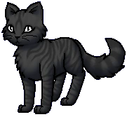 Flypaw.Warrior.byCurly.png (24 KB) Kriegerin