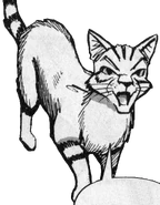 Langschweif in Bluestar's Prophecy