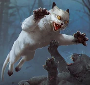 Schwarzstern auf dem polnischen Cover von Schwarzfuß' Abrechnung[181]