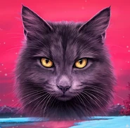 Graustreif auf dem polnischen Reprint-Cover von Feuer und Eis[92]