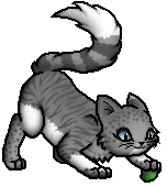 Spotkit.K.byMohn.png (36 KB) Junges