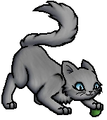 Dawnkit.K.byMohn.png (34 KB) Junges