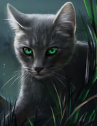 Frostpfote auf dem Cover von Shadow[30]