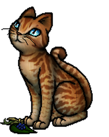 Kleinwolke Warrior Cats Wiki Fandom