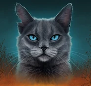 Blaustern auf dem polnischen Cover von Geheimnis des Waldes[78]