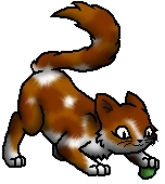 Marigoldkit.bySaphir.png (20 KB) Junges