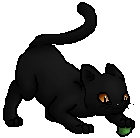 Blackclaw.kit.bySheyffer.png (6 KB) Junges