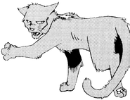 Klinker in Geißels Rache