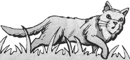 Löwenglut in Crowfeather's Trial