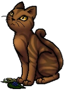 Flipclaw.MCA.byCurly.png (32 KB) Heilerschüler