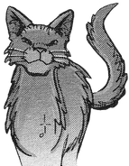 Jubelstern in Crookedstar's Promise