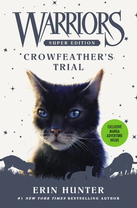 Engl. Cover