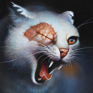 Lichtherz | Warrior Cats Wiki | Fandom