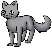 Shimmerpelt (BS) W.Spooky.png (14 KB) Kriegerin