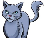 Nebelfuß.Manga.ASIR.Kopf.png (56 KB) Nebelfuß in Schatten über dem FlussClan