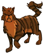 Braunstern in Verbannung aus dem SchattenClan