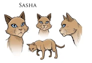 Konzeptzeichnungen von Sasha für Schatten über dem FlussClan