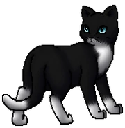 Socks.Loner.byCurly.png (26 KB) Einzelläufer