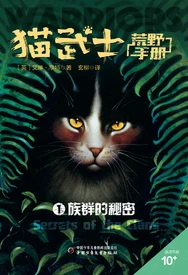 Chinesisches Cover (Reprint)