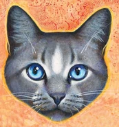 Wolkenstern in Von Helden und Verrätern und The Ultimate Guide (2013)