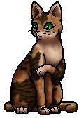 Tawnypelt.St.byTau.png (19 KB) Zweite Anführerin