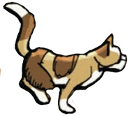 Ampferjunges in Der Dieb des DonnerClans