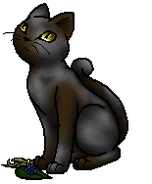 Hawkheart.medapp.bySheyffer.png (17 KB) Heilerschüler