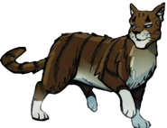 Habichtfrost.Manga.WoC.1.png (54 KB) Habichtfrost in Wind des Wandels