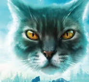 Schattenhelle auf dem Cover von Lost Stars[50][51]