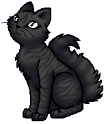 Flypaw.Apprentice.byCurly.png (26 KB) Schülerin