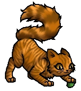 Mothwing.Kit.byCurly.png (37 KB) Junges