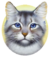 Efeupfote auf dem Cover von Fading Echoes[80]