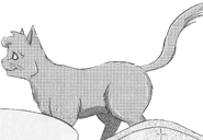 Federschweif.Manga.GuM.2.png (1,01 MB) Federschweif in Graustreif und Millie