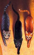 Häherfeder, Distelblatt und Löwenglut in Cats of the Clans