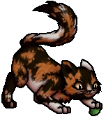 Dappletail.J.png (43 KB) Junges
