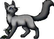 Frostdawn.MC.byMohn.png (40 KB) Heilerin